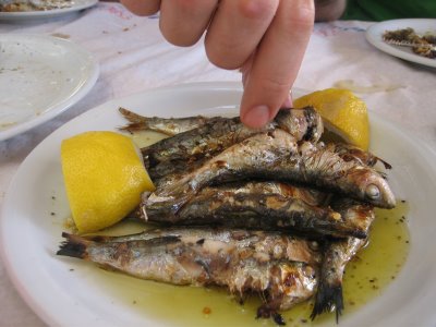 sardeles sxaras