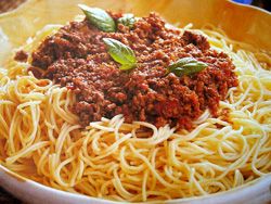 bolonez